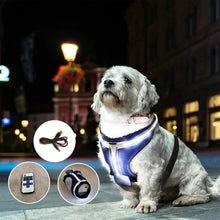 Load image into Gallery viewer, DC&#39;S REMOTE CONTROL LED PET HARNESS
